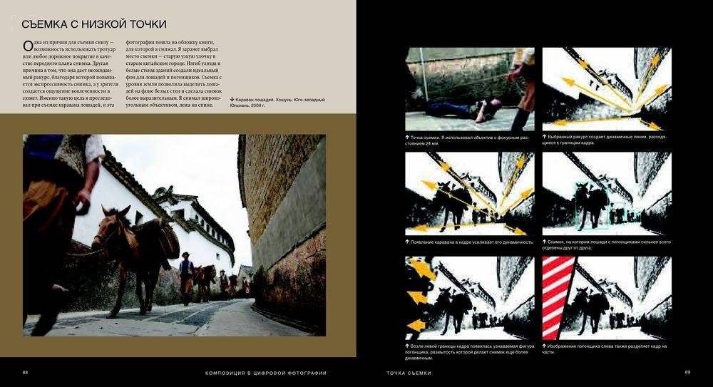 Композиция в цифровой фотографии фото книги 8