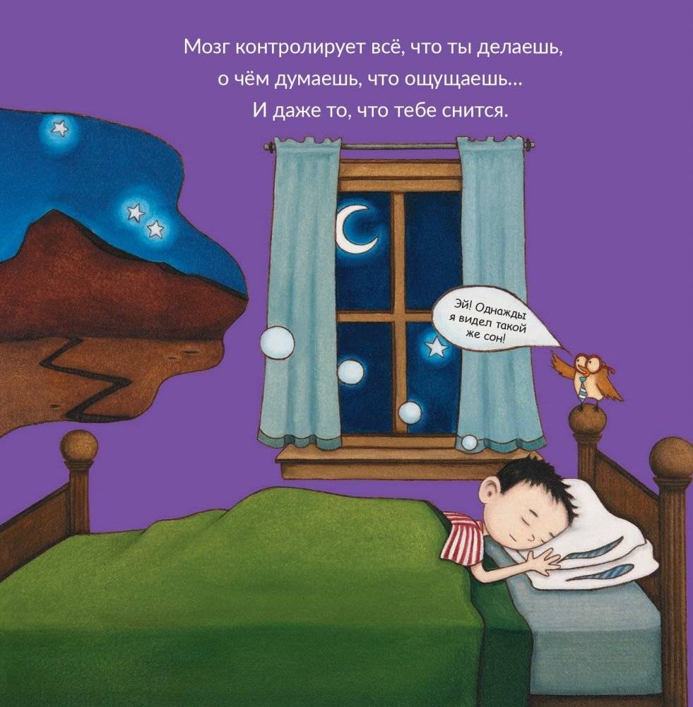 Твой необычный эластичный мозг фото книги 7