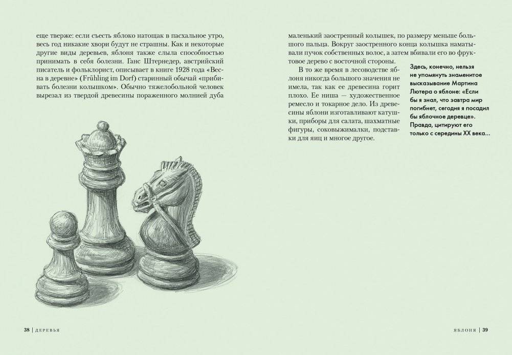 Деревья. Как жизни человека и дерева переплетены друг с другом фото книги 3