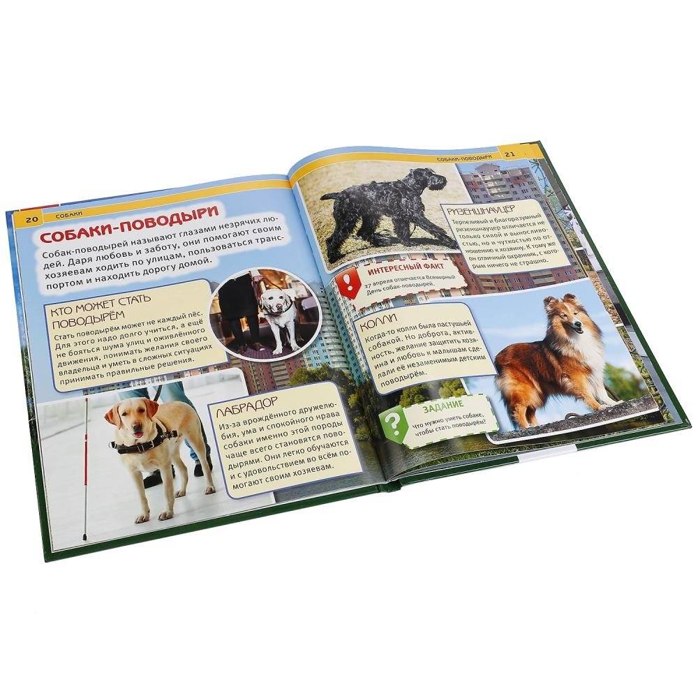 Собаки фото книги 4