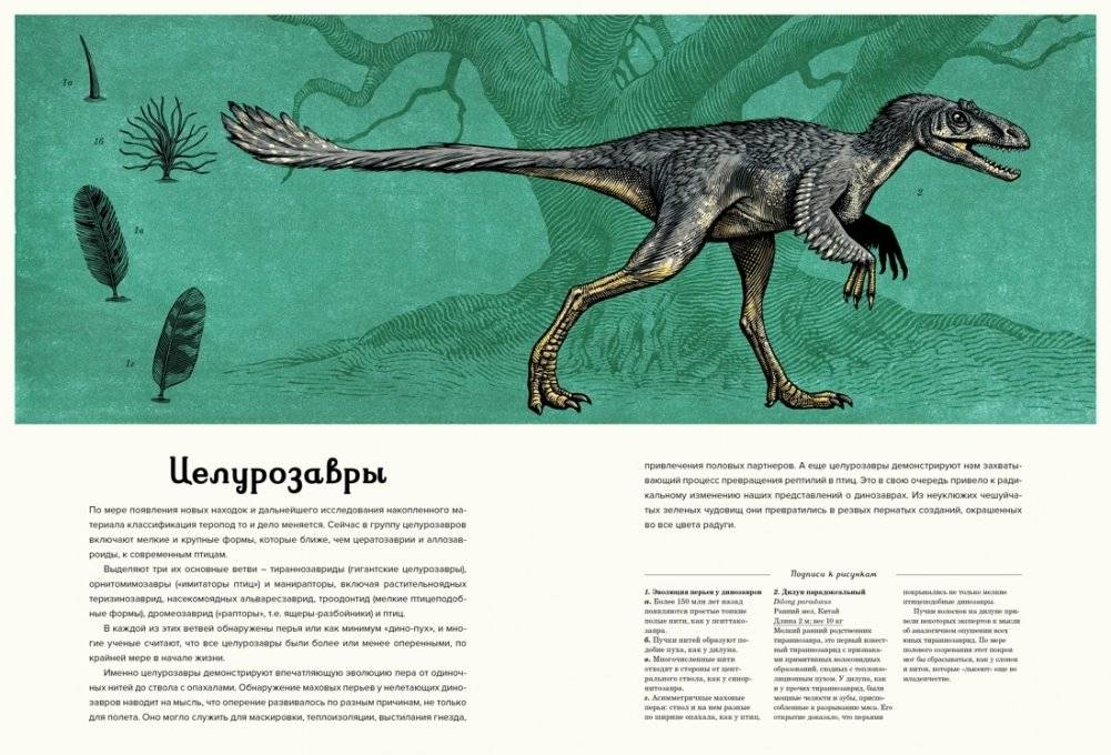 Динозавриум фото книги 7