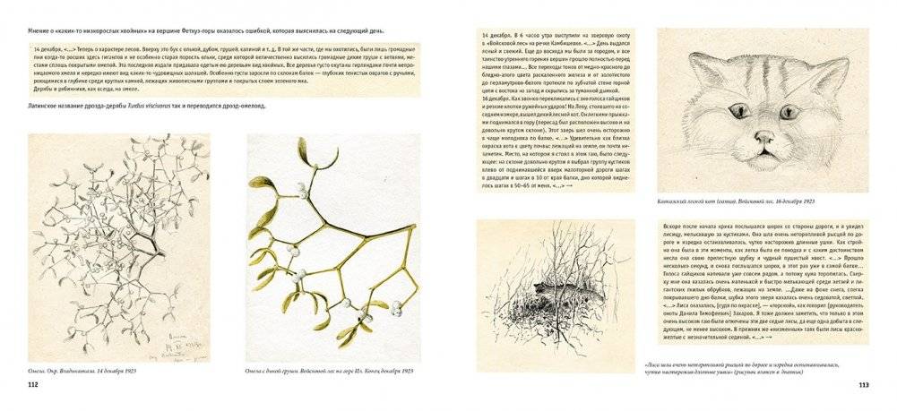 От Двины до Мургаба. Пути и тропы художника-анималиста фото книги 5