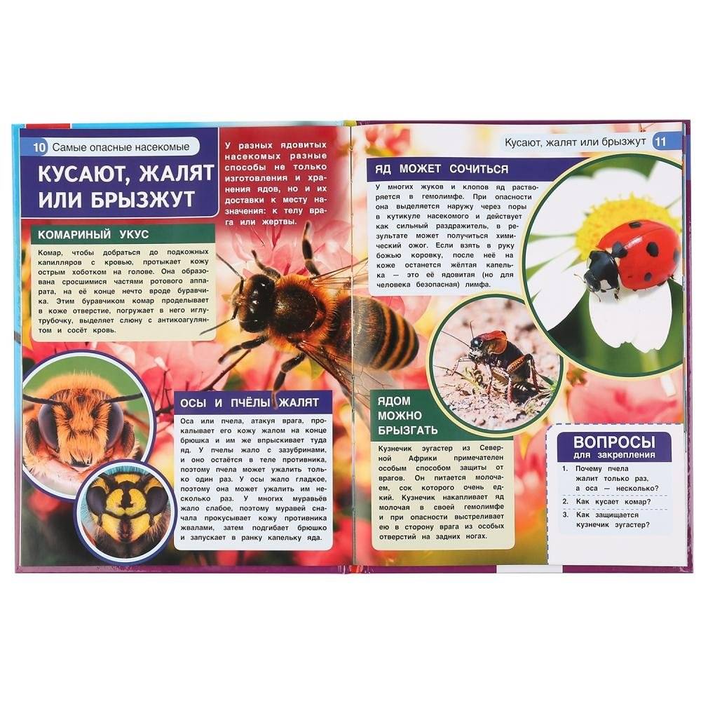 Самые опасные насекомые. Энциклопедия с развивающими заданиями фото книги 4