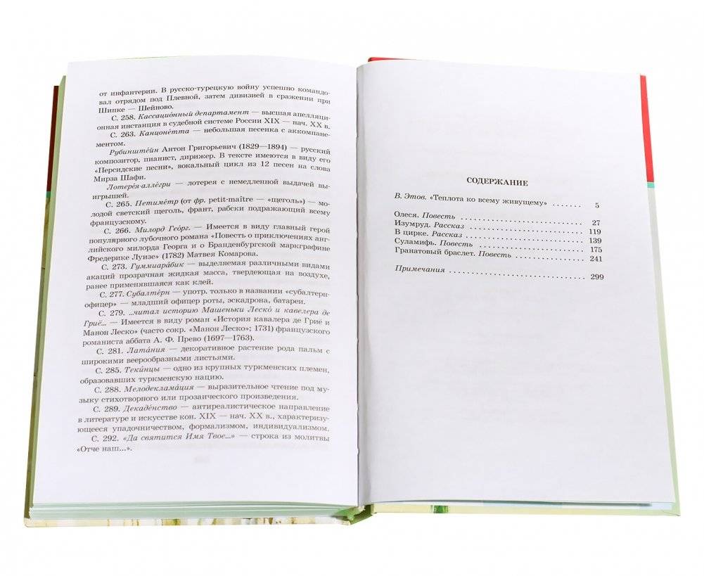 Гранатовый браслет фото книги 6