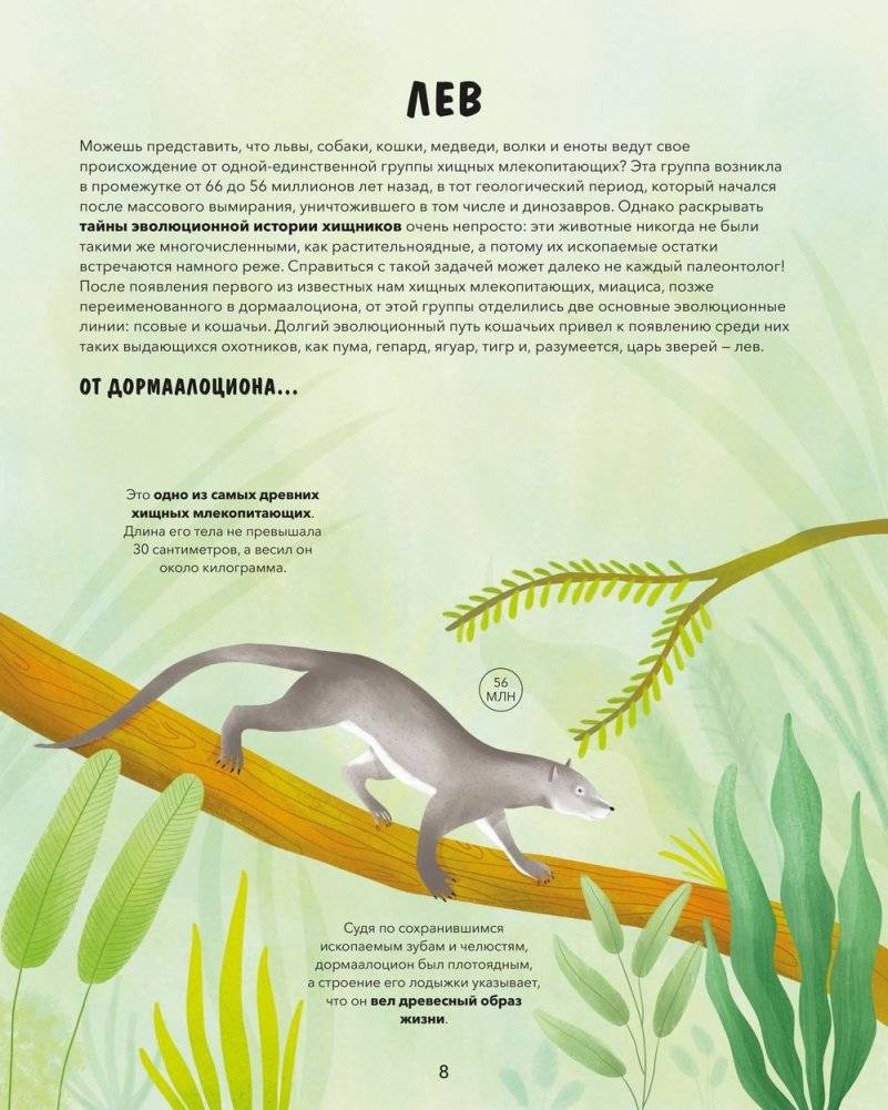 Эволюция. Как изменилась жизнь за миллиарды лет фото книги 8