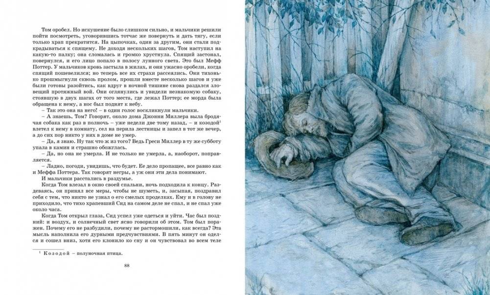 Приключения Тома Сойера фото книги 7