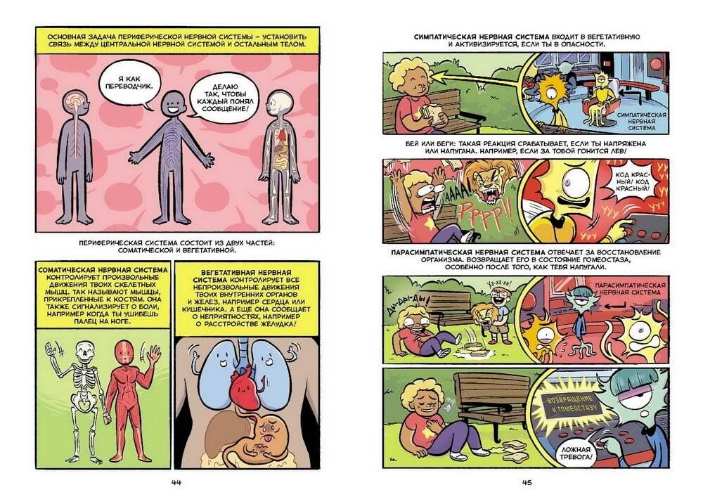 Мозг. Научный комикс фото книги 5