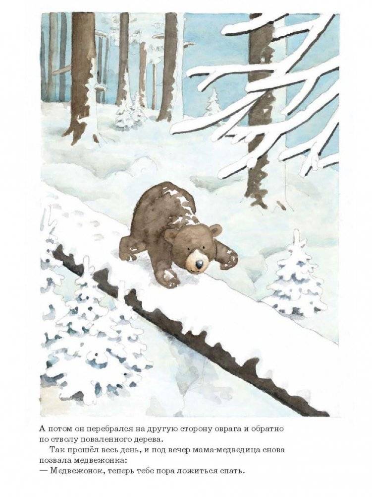 Ложись спать, медвежонок! фото книги 8