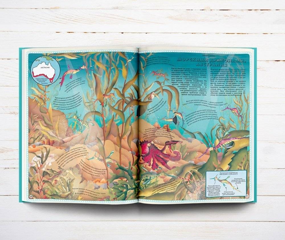 Большой атлас подводного мира в картинках фото книги 4