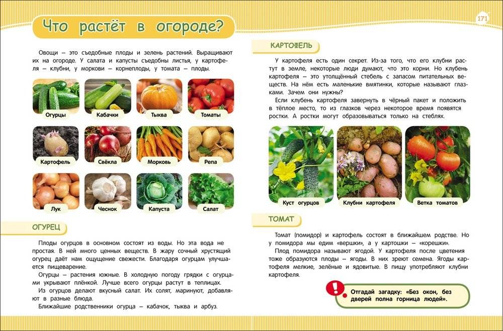 Полная энциклопедия дошкольника фото книги 3