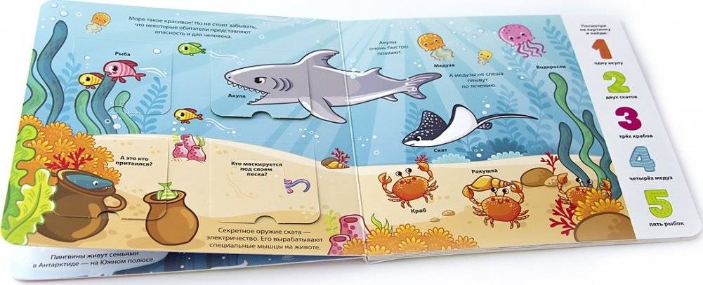 Книжка с окошками "Мои первые слова. Море" фото книги 4