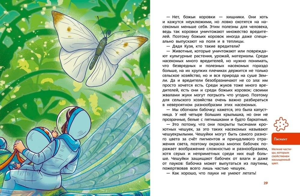 Насекомые и пауки. Детская энциклопедия (Чевостик) фото книги 3