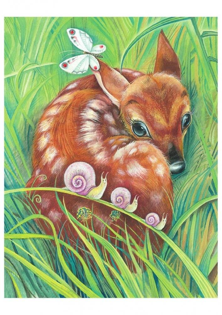 Бемби фото книги 3