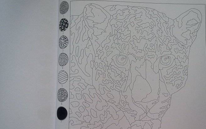 Узоромания. 25 необычных картин по номерам фото книги 6