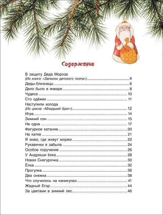 В защиту Деда Мороза фото книги 4