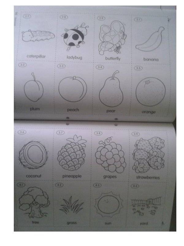 Longman Young Children‘s Picture Dictionary: Activity Resource Book фото книги 3