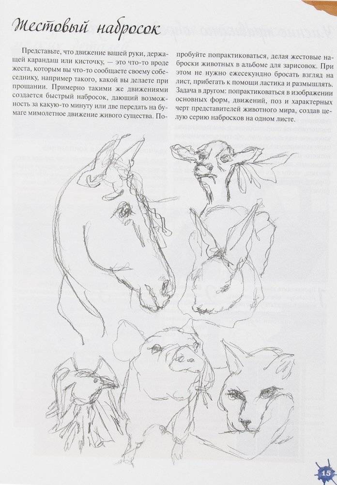 Акварельные животные фото книги 22