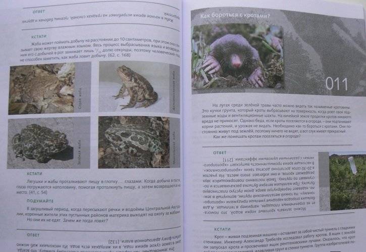 Необычное в обычном. 50 креативных решений фото книги 6