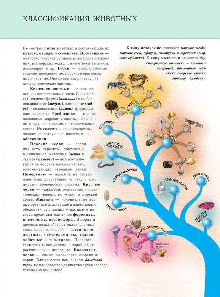 Подводный мир. Полная энциклопедия фото книги 11