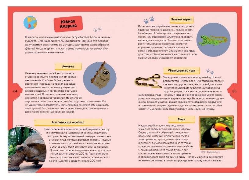 Животные планеты. Интерактивная детская энциклопедия с магнитами фото книги 7
