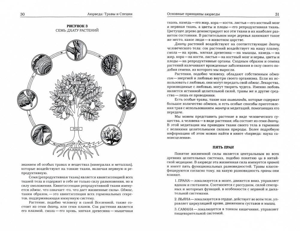 Травы и специи. 16-е издание фото книги 2