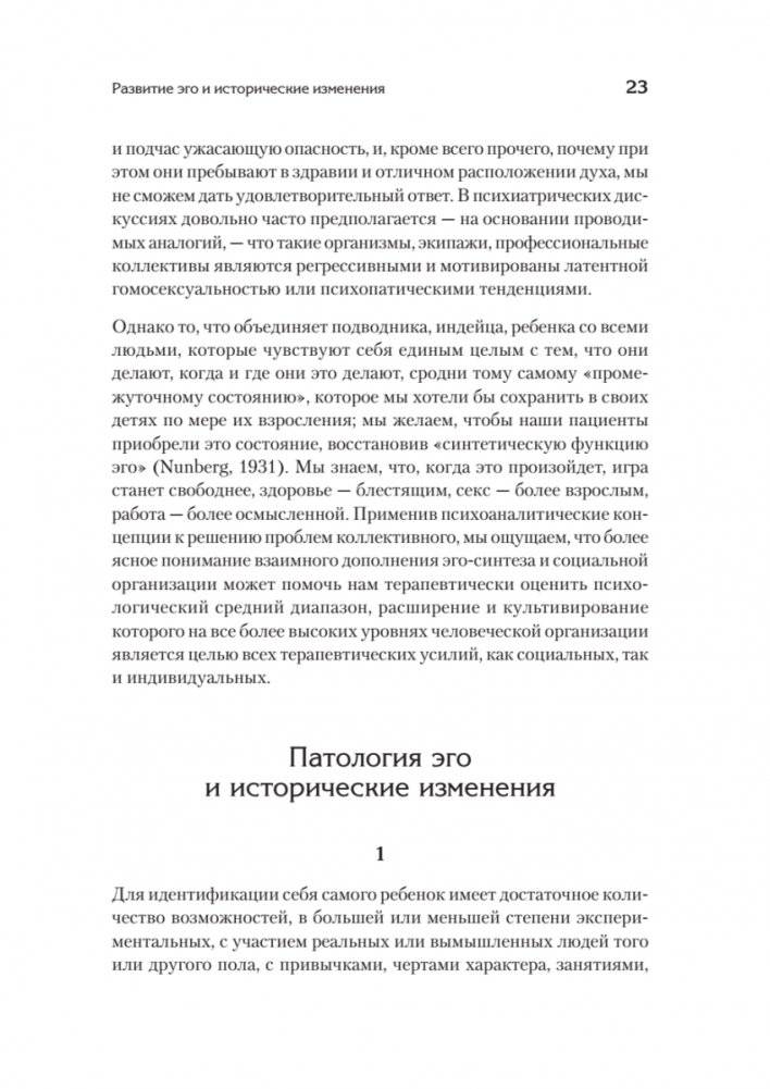 Идентичность и цикл жизни фото книги 12