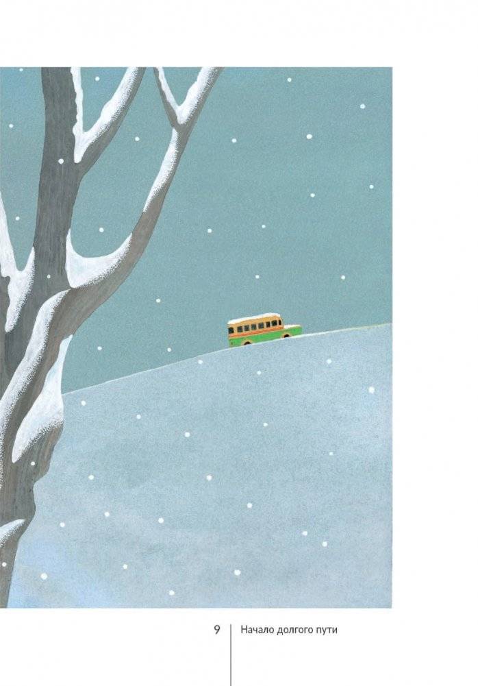 Ананасы и снег фото книги 3