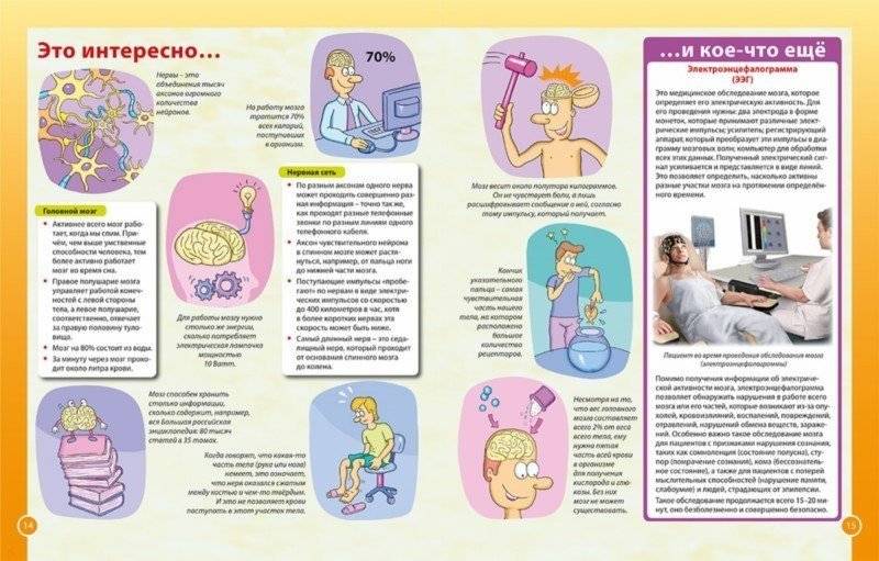 Тело человека. Первая энциклопедия для детей фото книги 4