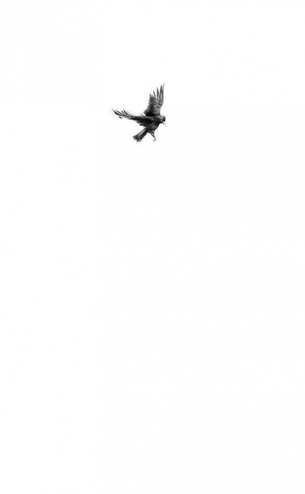 Возвращение ярла фото книги 4