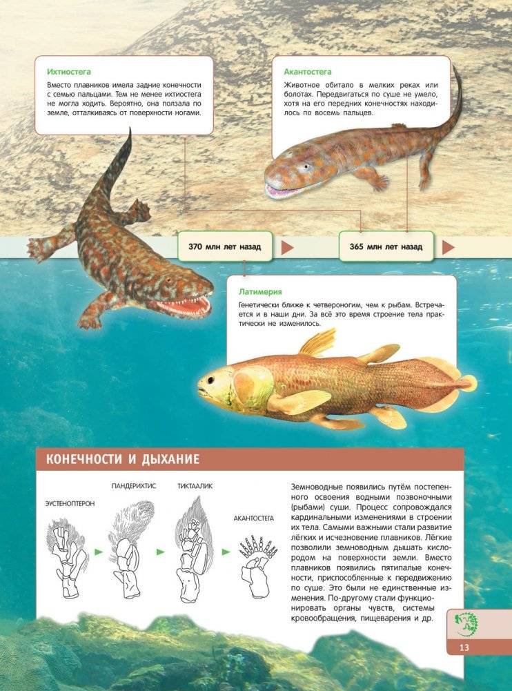 Тайны динозавров. Самая невероятная энциклопедия фото книги 14