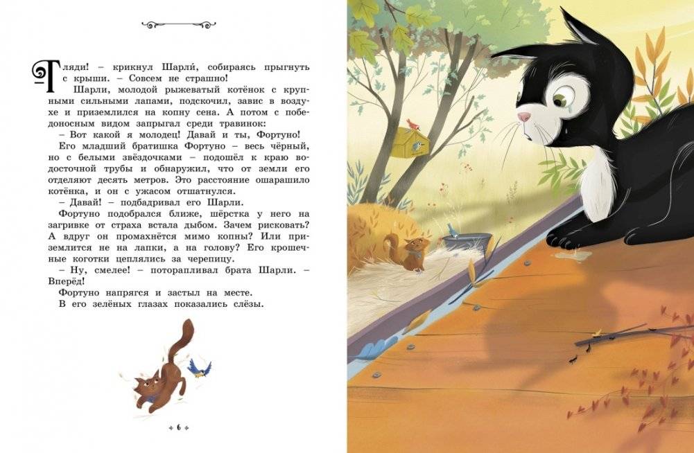 Котёнок, который всего боялся. Сказки премудрой совы фото книги 2