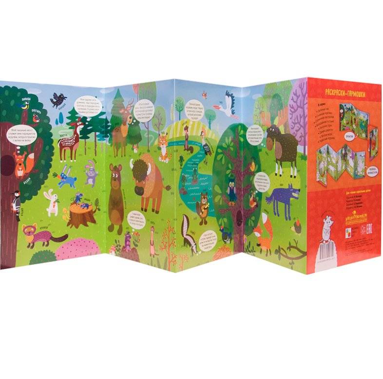 Зеленый лес. Раскраски-гармошки фото книги 3