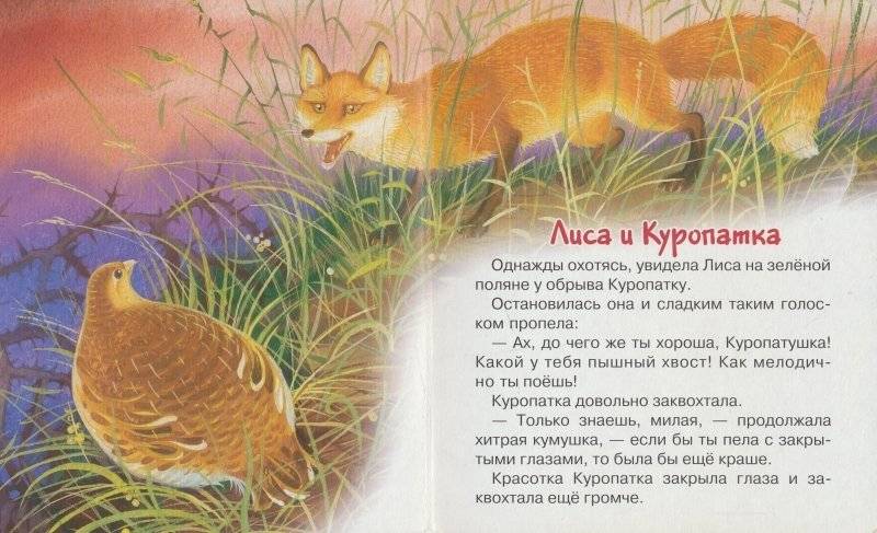 Лиса и Куропатка фото книги 2