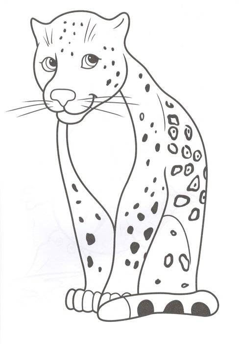 Раскраска. Животные фото книги 5