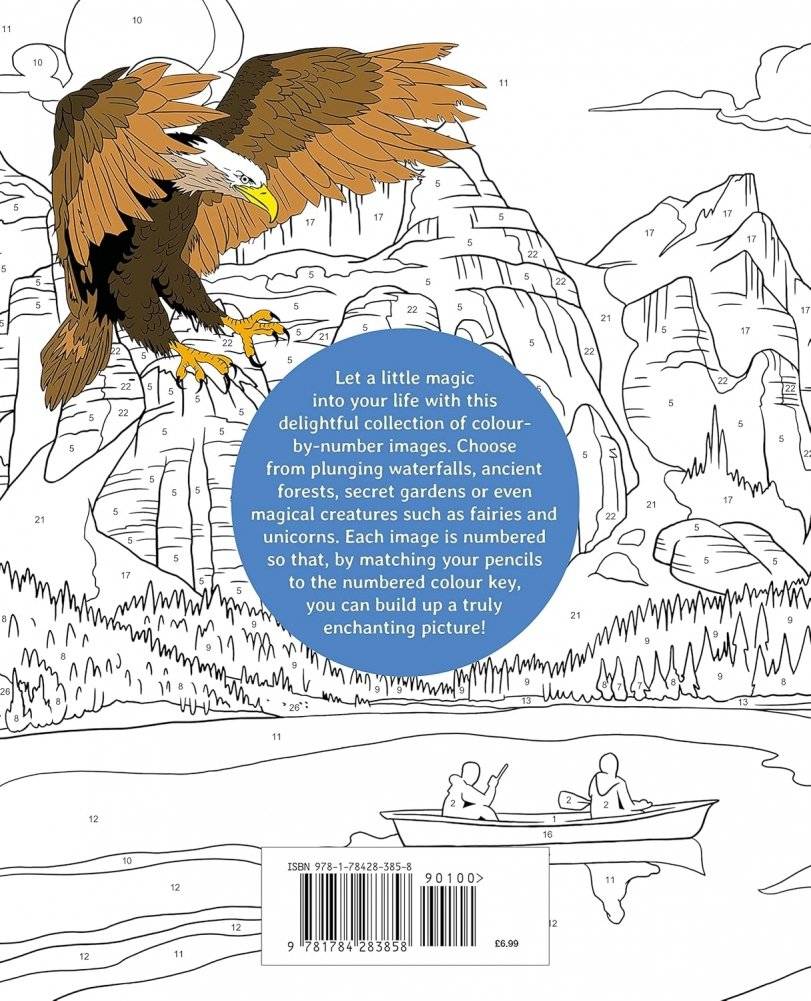 Colour by Numbers Enchanted World фото книги 2