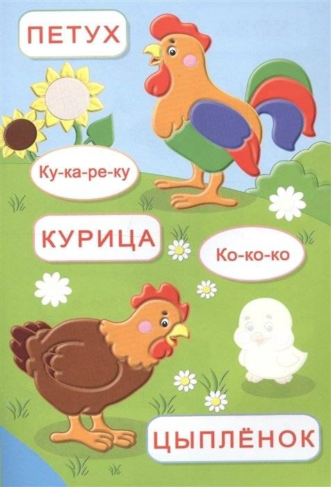 Домашние животные фото книги 2