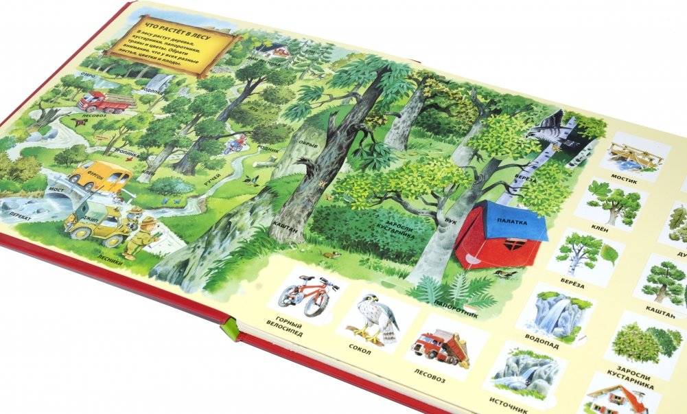 В лесу фото книги 2