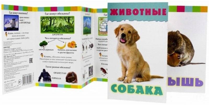 Книжка-гармошка. Животные. Узнай! Придумай! Расскажи! фото книги 2