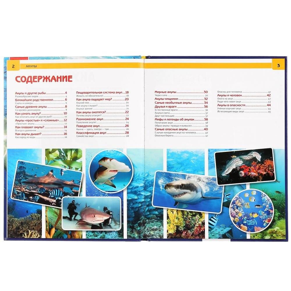 Акулы. Энциклопедия фото книги 3
