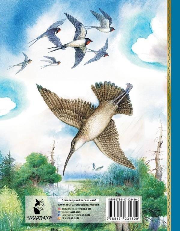 Мышонок Пик. Сказки о животных фото книги 2