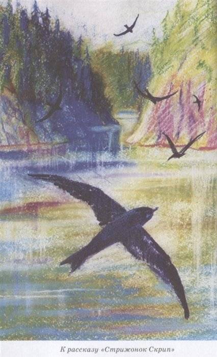 Конь с розовой гривой фото книги 5