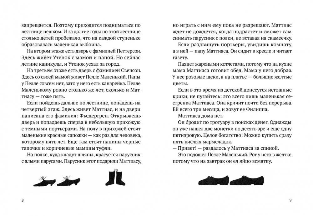 Лето Маттиаса фото книги 3