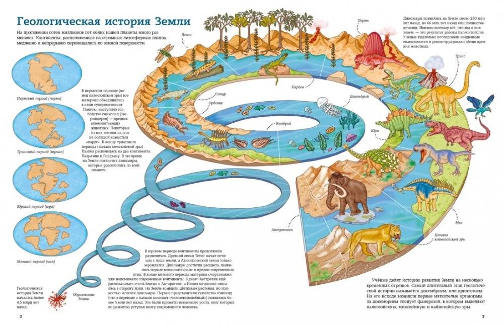 Планета динозавров. Иллюстрированный атлас фото книги 3