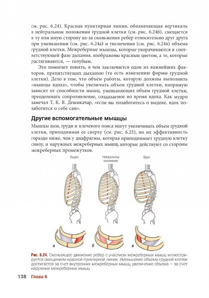Анатомия йоги. Новейшая редакция фото книги 11