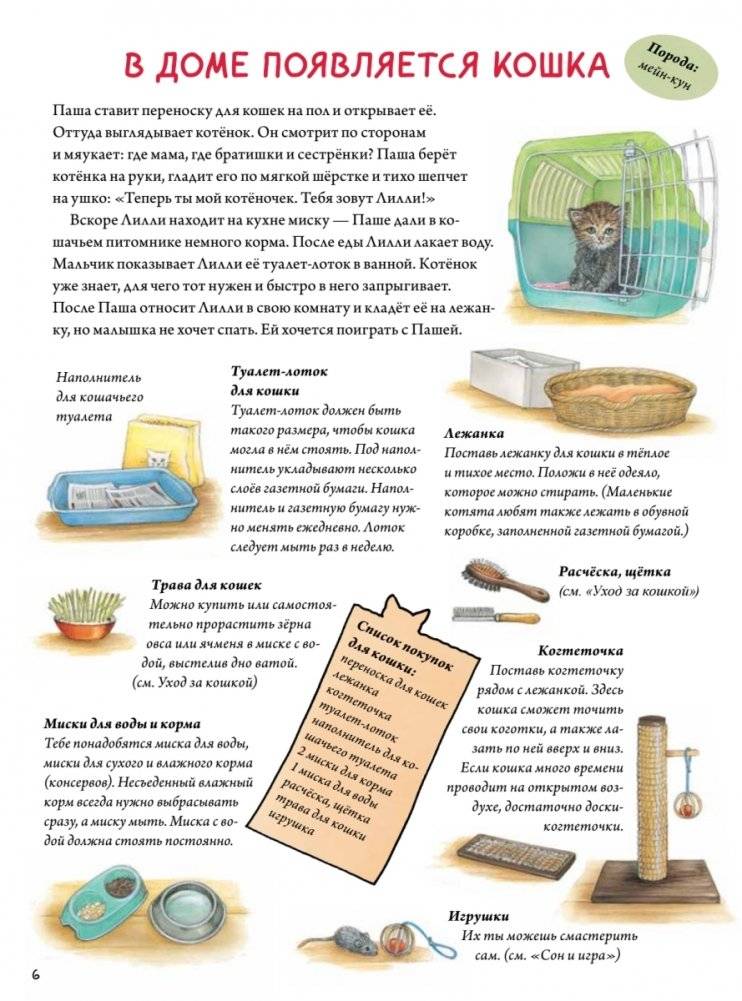 Моя самая красивая книга о кошках и собаках фото книги 3