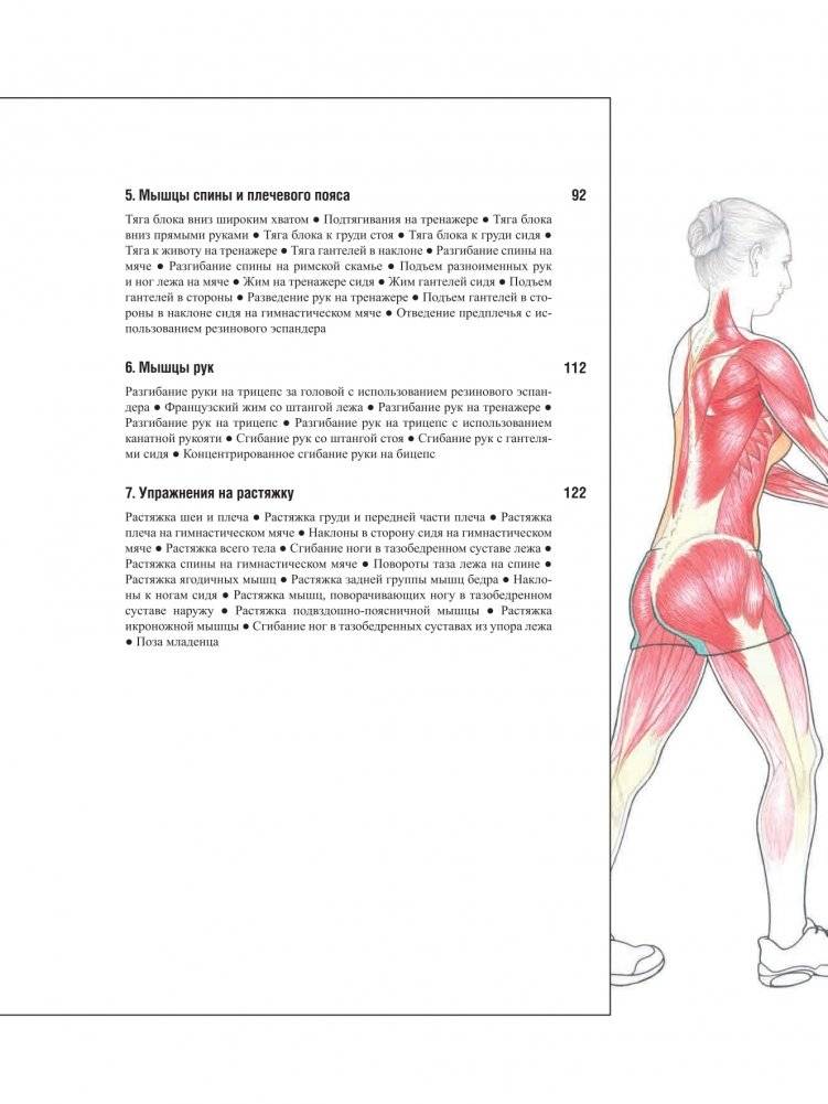 Анатомия фитнеса и силовых упражнений для женщин фото книги 4