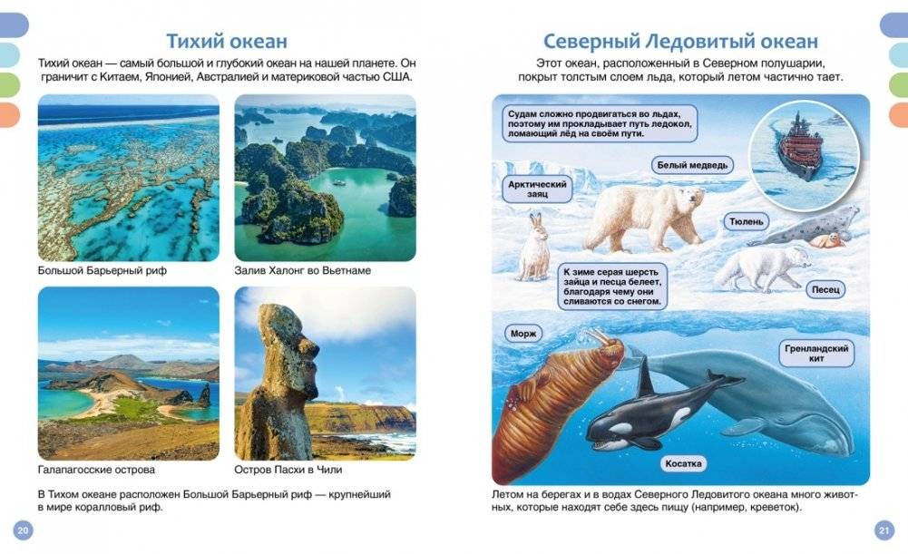 Море и его обитатели фото книги 7