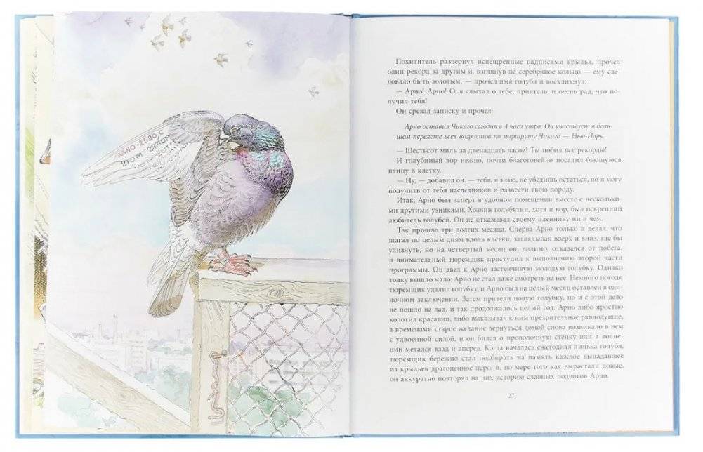 Арно фото книги 4