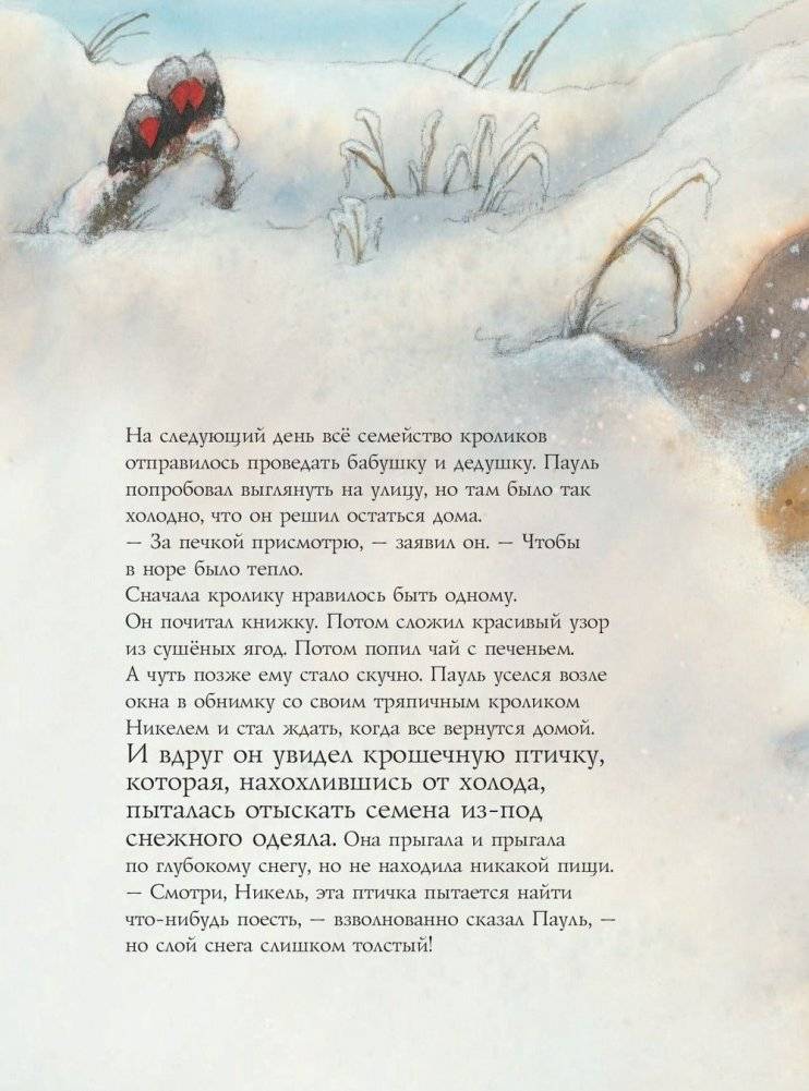 С Новым годом, Пауль! фото книги 9