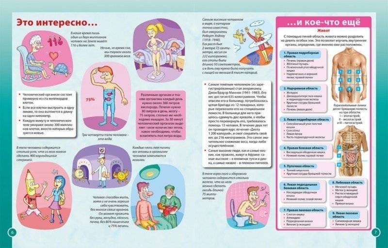 Тело человека. Первая энциклопедия для детей фото книги 2